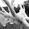 permanence - impermanence - wighton 24